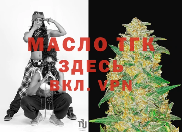 молекула духа Арсеньев