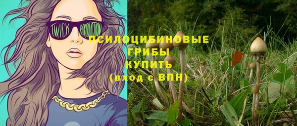 а пвп мука Армянск