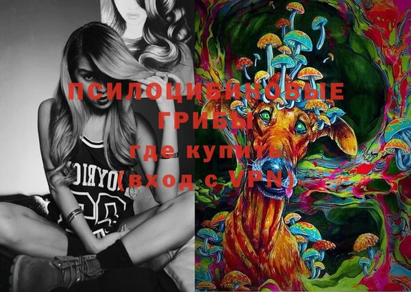 молекула духа Арсеньев