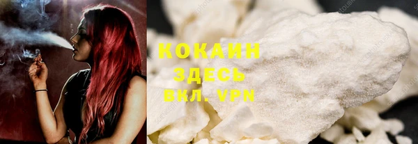 молекула духа Арсеньев