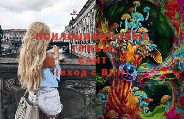 mix Аркадак