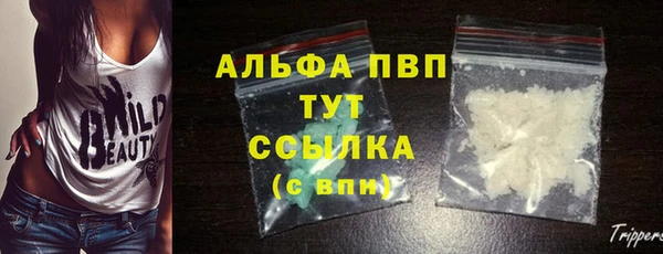 молекула духа Арсеньев